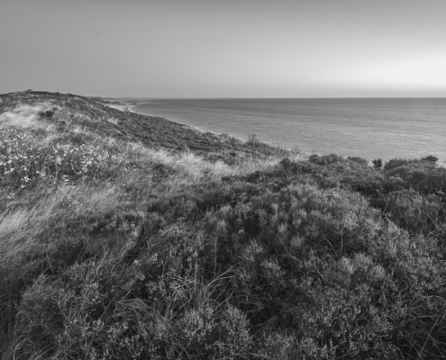 sylt braderup monochrom 2021 10 29 002