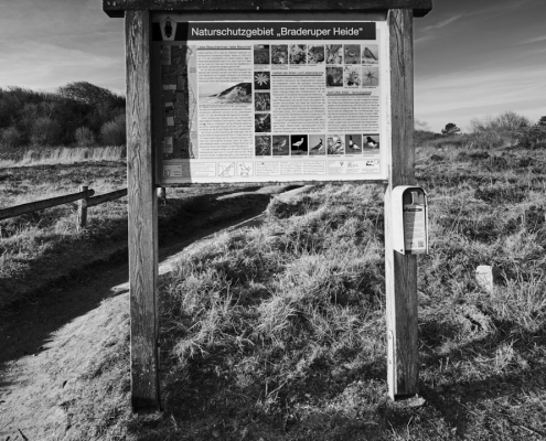 sylt braderup monochrom 2022 03 13 001 1
