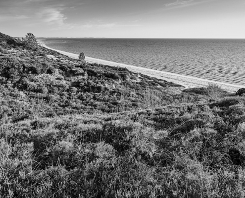 sylt braderup monochrom 2022 03 13 003