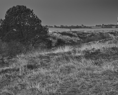 sylt braderup monochrom 2022 03 27 001
