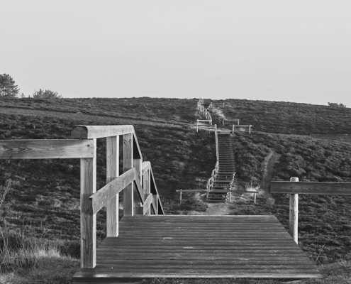 sylt braderup monochrom 2022 03 27 002