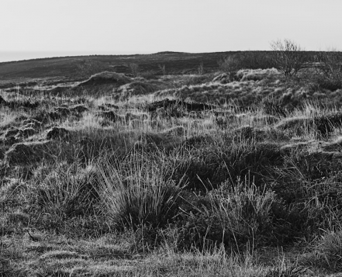 sylt braderup monochrom 2022 03 27 003