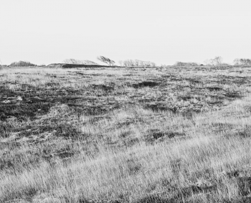 sylt braderup monochrom 2022 03 27 004