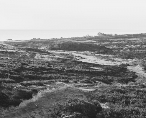 sylt braderup monochrom 2022 03 27 005