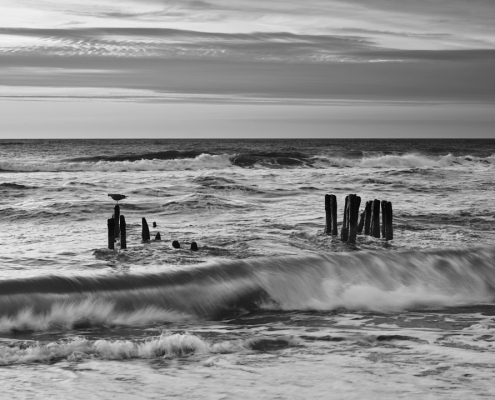 sylt buhnen monochrom 2021 10 29 001