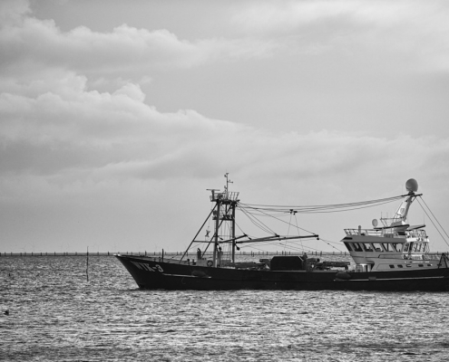 sylt hoernum monochrom 2022 01 08 004
