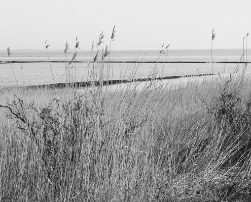 sylt kampen monochrom 2022 03 27 007
