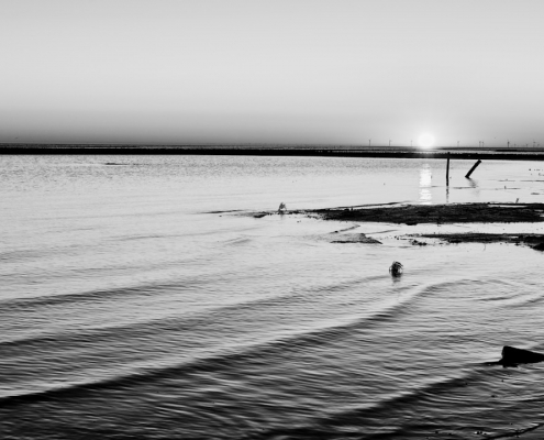 sylt keitum monochrom 2022 03 09 003