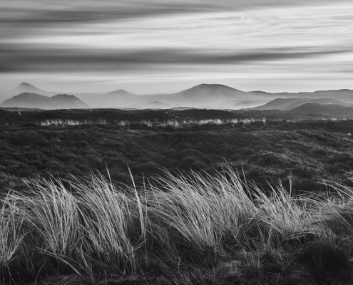 sylt list monochrom 2021 12 14 001 1