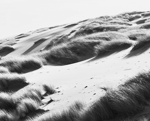 sylt list monochrom 2022 02 23 001