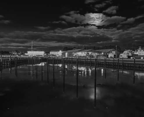 sylt munkmarsch monochrom 2021 12 21 003