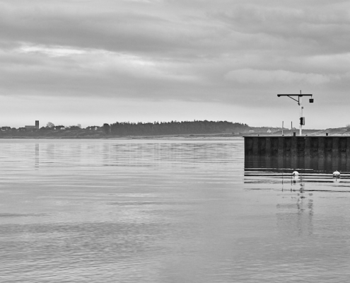 sylt munkmarsch monochrom 2021 12 24 005