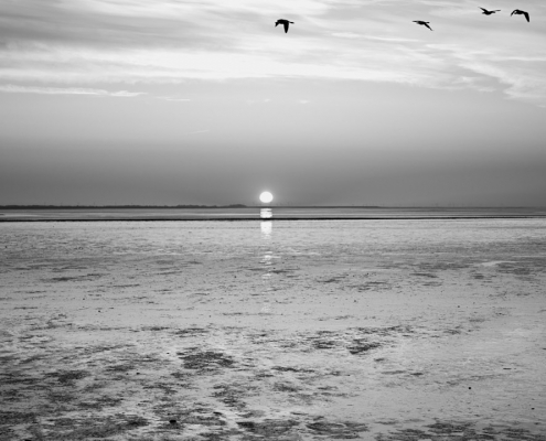 sylt rantum monochrom 2022 03 14 003