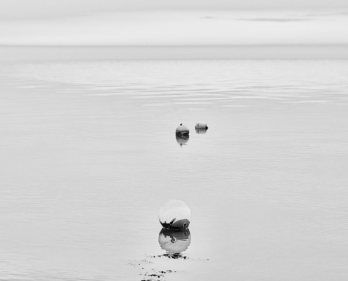 sylt sylt art monochrom 2021 12 24 002