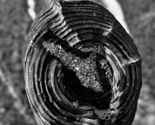 macro buhnen kunst2022 10 28 003