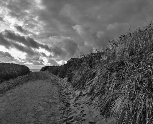 zum strand 2022 10 13 001