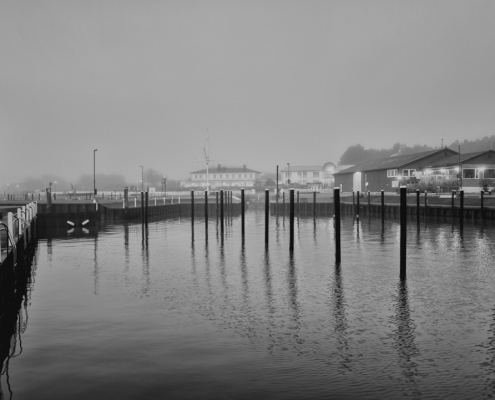 nebel tag in munckmarsch 2022 12 21 001