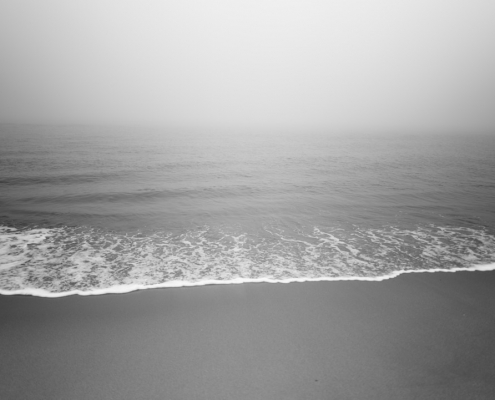 duenung im nebel 2023 02 15 002