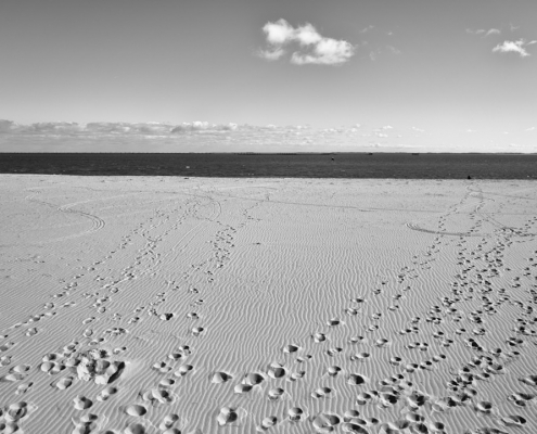 spuren am hoernum strand 2023 02 26 002