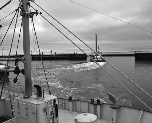 2023 03 01 ANNE YERSEKE Muschelkutter 001