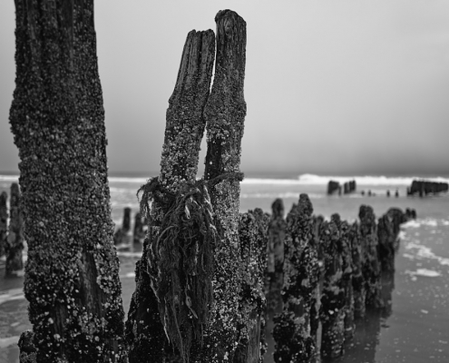 2023 03 12 Buhne in Rantum 001