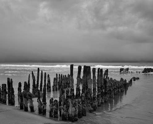 2023 03 12 Ebbe an de Buhne 002