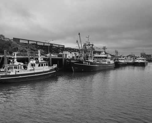 2023 03 01 Im Hafen Hoernum 002