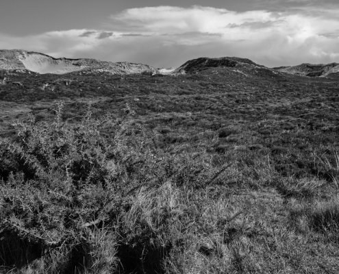 2023 03 27 Duenenlandschaft im Listland 001 1
