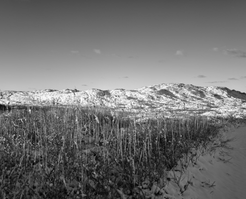 20230311 06 Zum Meer
