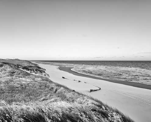 20230311 09 Strand Rantum 2
